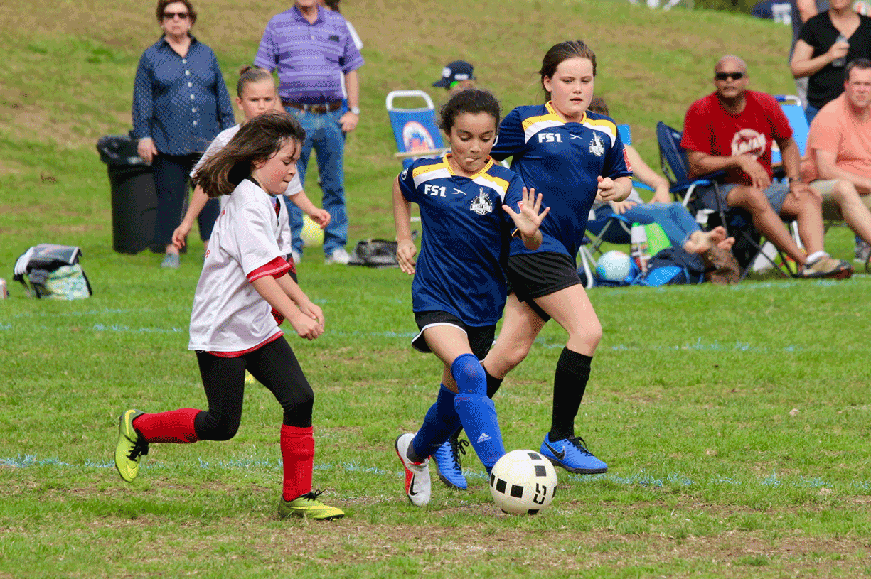 Fields West Side Soccer League